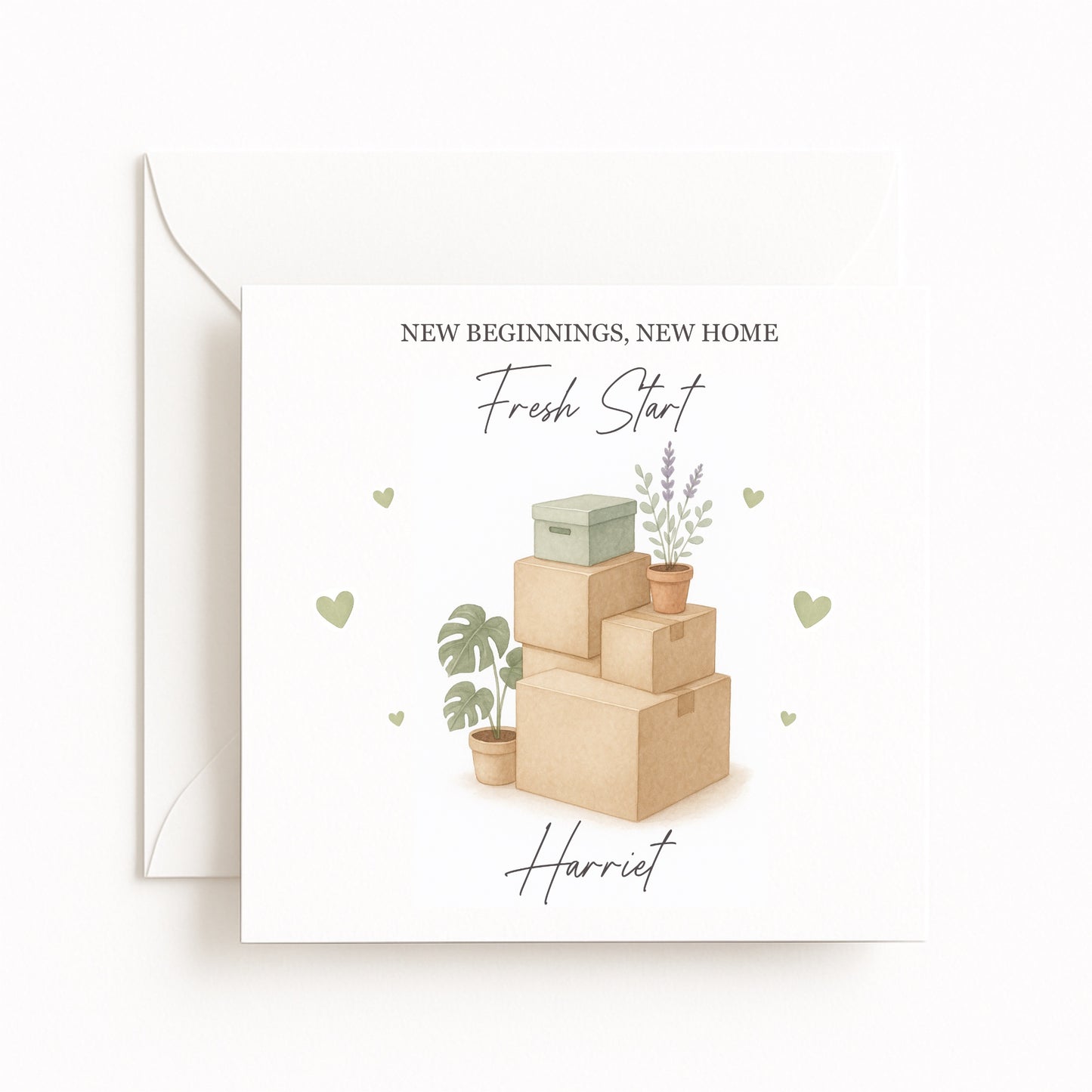 “Fresh Start” (Boxes & Plants)